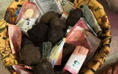 La truffe vaut bien une messe !