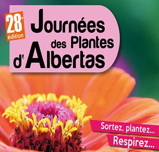 Affiche 2