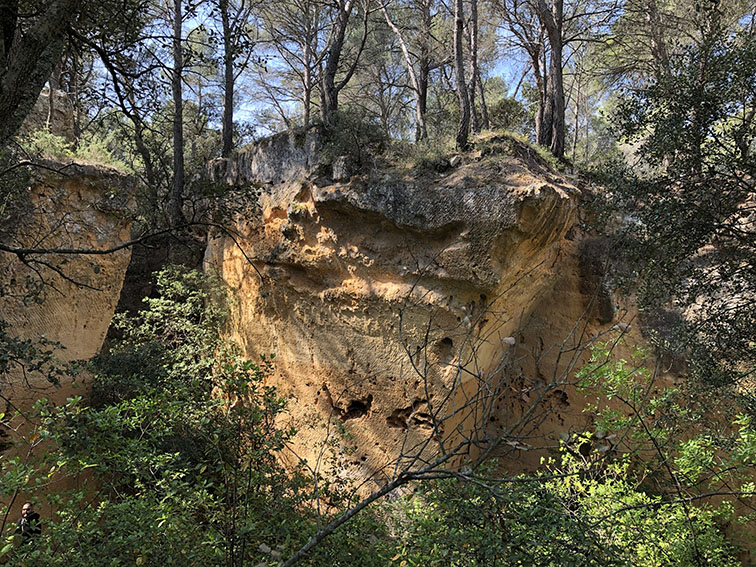 Centre bibemus copie