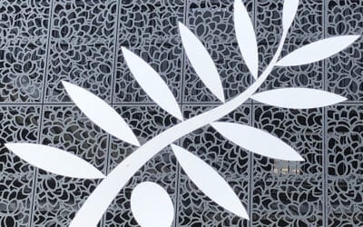 Provence Rugby vs Nice : c’est la presse qui le dit !