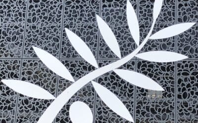 Provence Rugby vs Colomiers/C’est vous qui le dites !