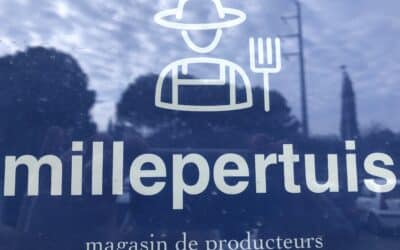 Millepertuis : c’est ouvert !