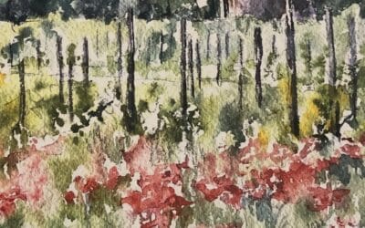 Regards croisés sur l’aquarelle/Petra Wauters