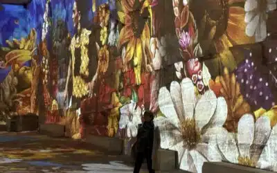 Carrières des Lumières : Picasso/Frida Kalho